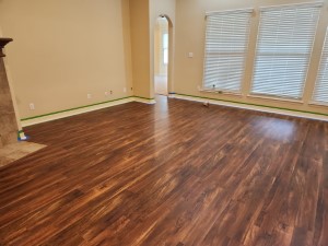 Lentz Trim Repaint new color